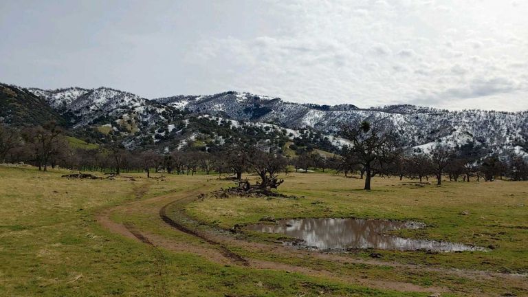 Tejon Ranch end of Winter. Credit: Devyn Orr