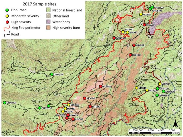 Sampling sites map and King Fire perimeter. We sampled 27 sites total in the Eldorado National Forest, California, three years afer the King Fire, nine in each burn category: Unburned, moderate severity, and high severity. Features not indicated in legend are typical of topological maps.