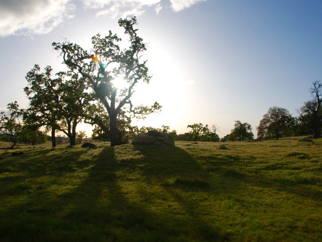 Tejon at Sunrise. Credit: Hillary Young