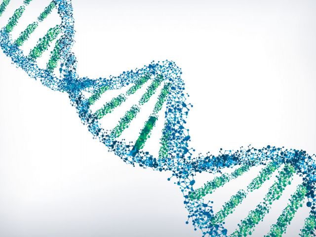 DNA Double Helix Strand. Credit: Science Mag