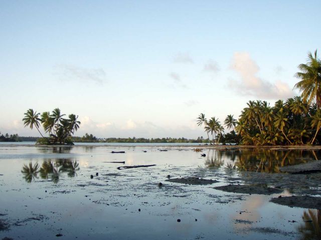 Palmyra Atoll Views