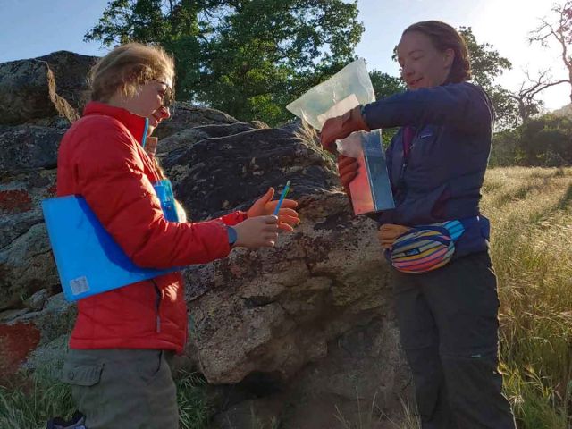 Small Mammal Trapping at Tejon. Credit: Maggie Klope