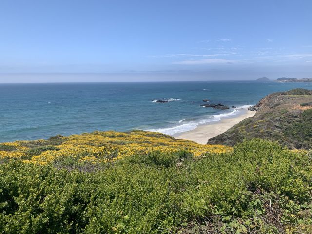 Bluffs on Big Sur. Credit: Steph Copeland