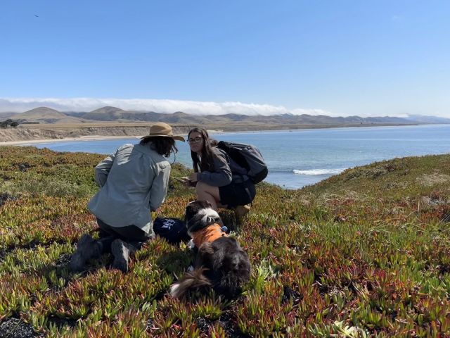 Grace and Rosie with scent dog. 